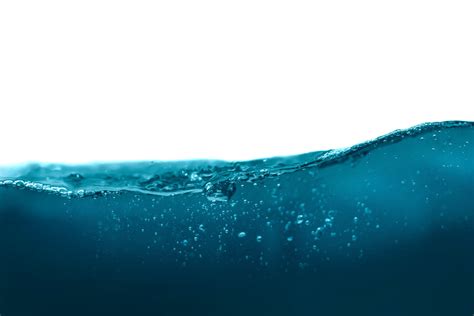 7 Ways to Increase Body Water Percentage – INEVIFIT.